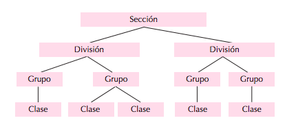 Gráfico Agrupaciones actividad económica