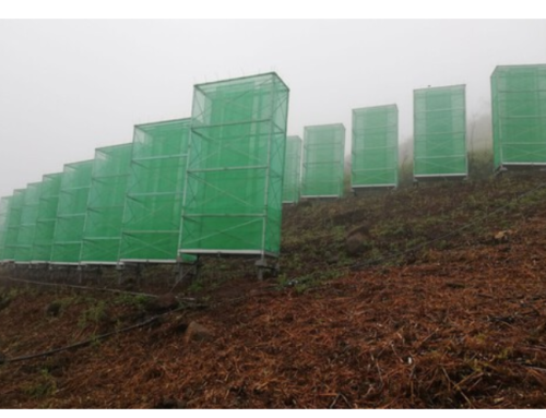 ESPAÑA – Redes que “ordeñan” la niebla y generan agua en su lugar: el invento de Canarias para combatir la sequía – XATAKA